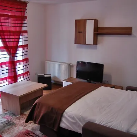 Apartment Raluca Brasov