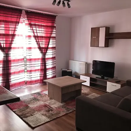 Raluca Apartment *
