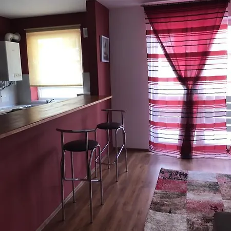 Apartment Raluca Brasov